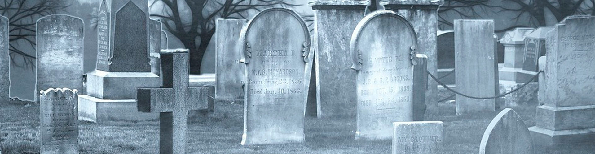 cementerio de criaturas